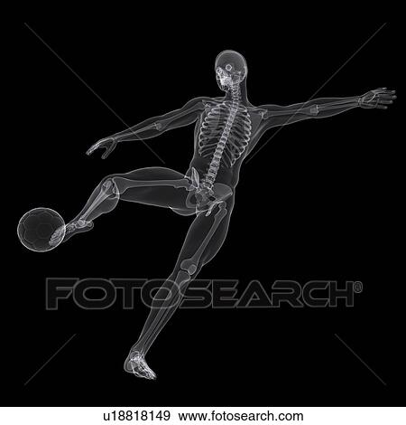 Football player, artwork View Large Illustration Stock Illustration - Football player, artwork. Fotosearch