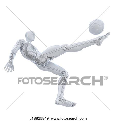 Stock Illustration - Football player, artwork. Fotosearch
