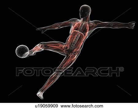 Football player, artwork View Large Illustration Stock Illustration - Football player, artwork. Fotosearch