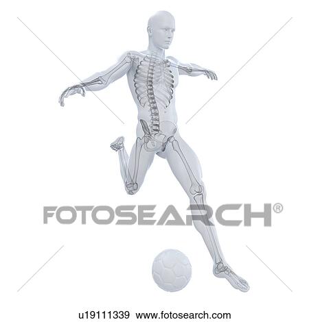 Stock Illustration - Football player, artwork. Fotosearch