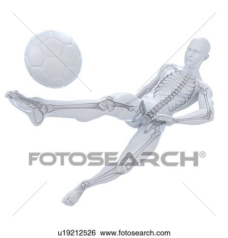Football player, artwork View Large Illustration Stock Illustration - Football player, artwork. Fotosearch