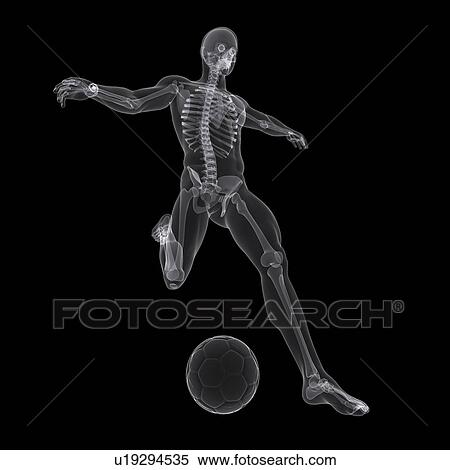 Football player, artwork View Large Illustration Stock Illustration - Football player, artwork. Fotosearch