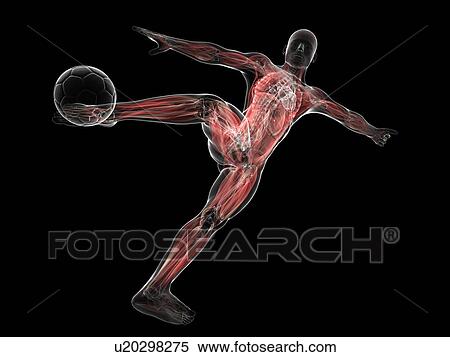 Football player, artwork View Large Illustration Stock Illustration - Football player, artwork. Fotosearch