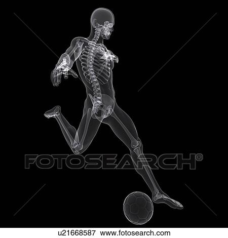 Football player, artwork View Large Illustration Stock Illustration - Football player, artwork. Fotosearch