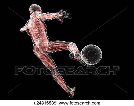 Stock Illustration - Football player, artwork. Fotosearch