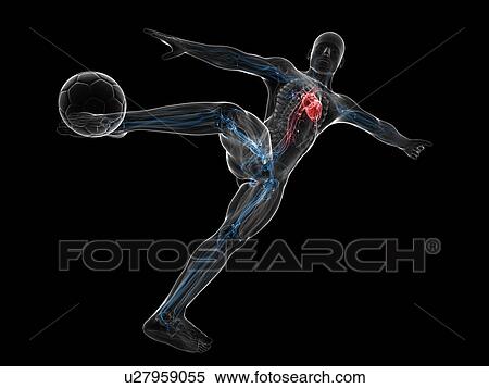 Stock Illustration - Football player, artwork. Fotosearch