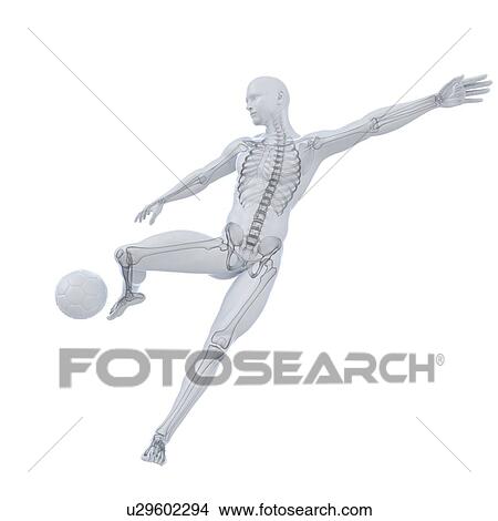 Football player, artwork View Large Illustration Stock Illustration - Football player, artwork. Fotosearch