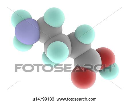 Drawing - Gamma-aminobutyric acid GABA molecule. Fotosearch