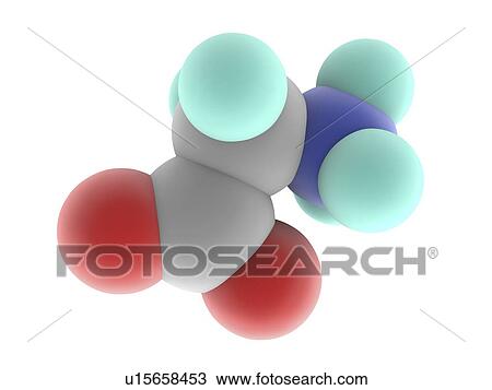 Glycine molecule View Large Illustration Drawing - Glycine molecule. Fotosearch