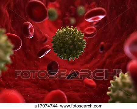 Hepatitis B infection, artwork View Large Illustration Stock Illustration - Hepatitis B infection, artwork. Fotosearch