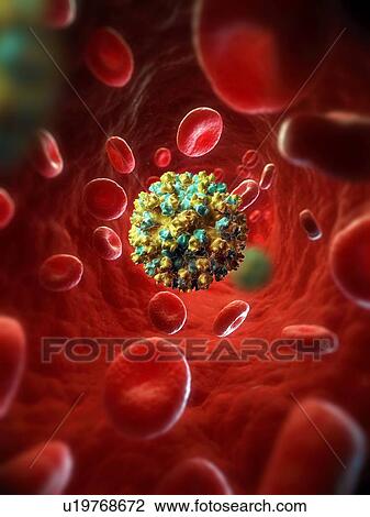 Drawing - Hepatitis E infection, artwork. Fotosearch
