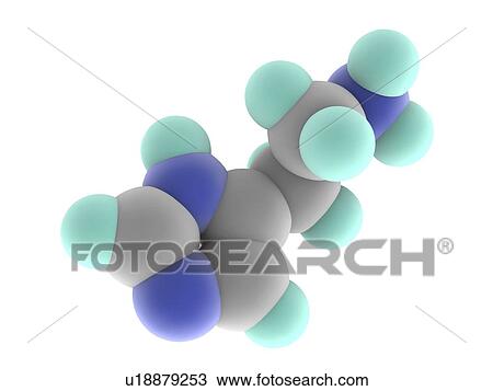 Histamine molecule View Large Illustration Drawing - Histamine molecule. Fotosearch