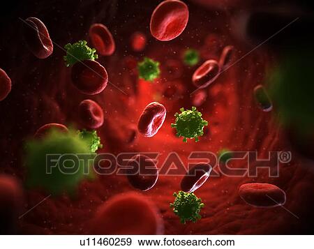 HIV infection, artwork View Large Illustration Stock Illustration - HIV infection, artwork. Fotosearch