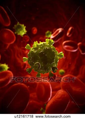 HIV infection, artwork View Large Illustration Stock Illustration - HIV infection, artwork. Fotosearch