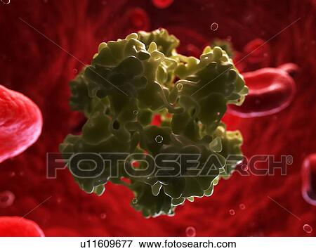 HPV infection, artwork View Large Illustration Stock Illustration - HPV infection, artwork. Fotosearch