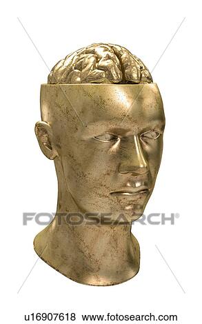 Stock Illustration - Human brain, artwork. Fotosearch