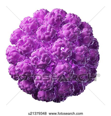 Stock Illustration - Murine polyomavirus, artwork. Fotosearch