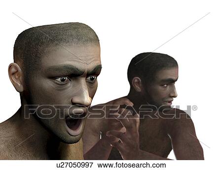 Neanderthal man, artwork View Large Illustration Stock Illustration - Neanderthal man, artwork. Fotosearch