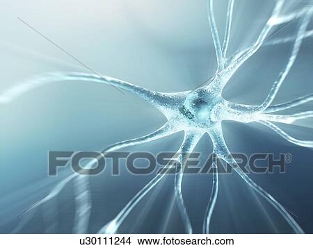 Stock Illustration - Nerve cell, artwork. Fotosearch