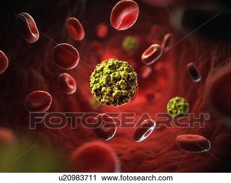 Clip Art - Norovirus infection, artwork. Fotosearch