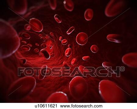 Red blood cells, artwork View Large Illustration Clip Art - Red blood cells, artwork. Fotosearch