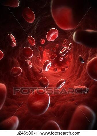 Red blood cells, artwork View Large Illustration Clip Art - Red blood cells, artwork. Fotosearch