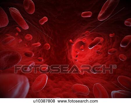 Stock Illustration - Red blood cells, artwork. Fotosearch