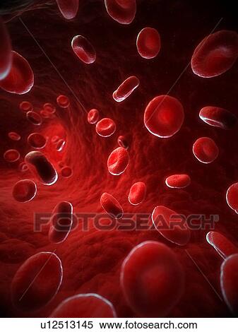 Red blood cells, artwork View Large Illustration Stock Illustration - Red blood cells, artwork. Fotosearch