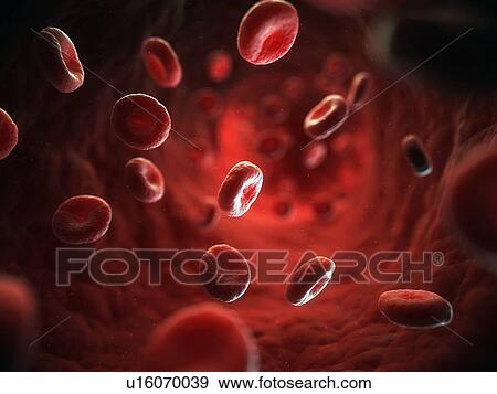 Red blood cells, artwork View Large Illustration Stock Illustration - Red blood cells, artwork. Fotosearch