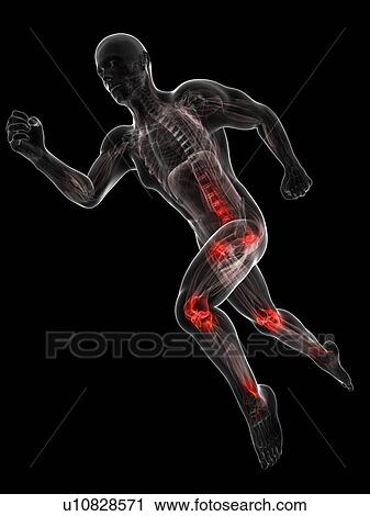 Running injuries, conceptual artwork View Large Illustration Clip Art - Running injuries, conceptual artwork. Fotosearch