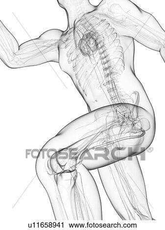 Clip Art - Sprinter, artwork. Fotosearch