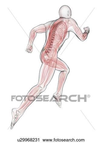 Clip Art - Sprinter, artwork. Fotosearch