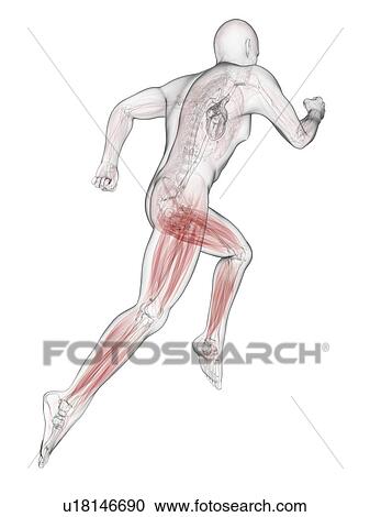 Clipart - Sprinter, artwork. Fotosearch