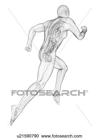 Clipart - Sprinter, artwork. Fotosearch