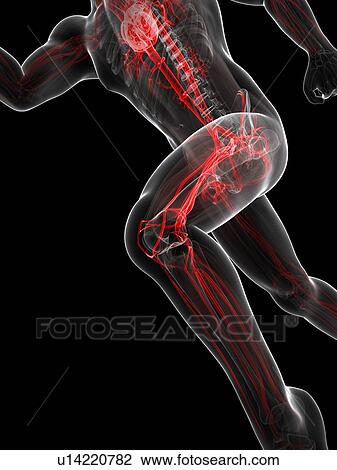 Sprinter, artwork View Large Illustration Drawing - Sprinter, artwork. Fotosearch
