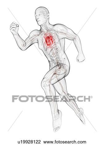 Sprinter, artwork View Large Illustration Drawing - Sprinter, artwork. Fotosearch