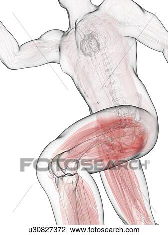 Drawing - Sprinter, artwork. Fotosearch