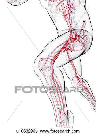 Sprinter, artwork View Large Illustration Stock Illustration - Sprinter, artwork. Fotosearch