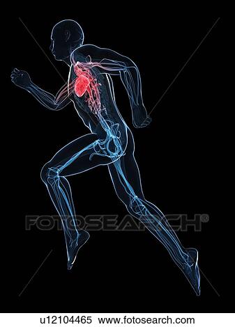 Sprinter, artwork View Large Illustration Stock Illustration - Sprinter, artwork. Fotosearch