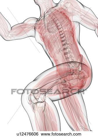 Sprinter, artwork View Large Illustration Stock Illustration - Sprinter, artwork. Fotosearch