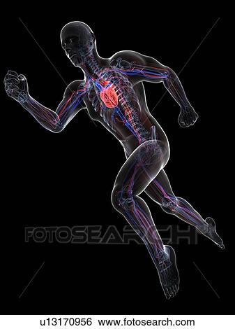 Stock Illustration - Sprinter, artwork. Fotosearch