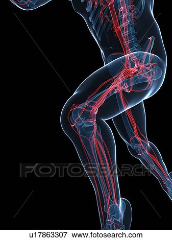 Stock Illustration - Sprinter, artwork. Fotosearch