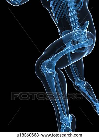 Sprinter, artwork View Large Illustration Stock Illustration - Sprinter, artwork. Fotosearch
