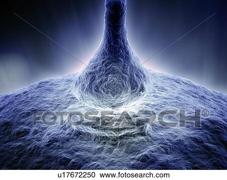Clipart - Synapse, artwork. Fotosearch