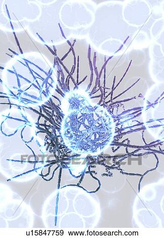 Stock Illustration - Viral infection, conceptual artwork. Fotosearch
