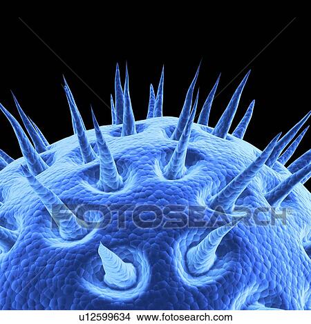 Stock Illustration - Virus, artwork. Fotosearch