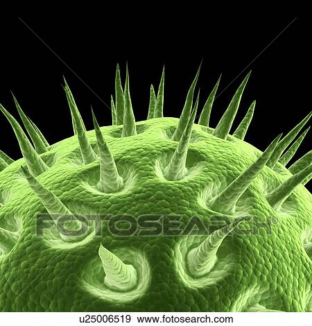 Virus, artwork View Large Illustration Stock Illustration - Virus, artwork. Fotosearch