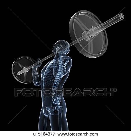 Weightlifter, artwork View Large Illustration Stock Illustration - Weightlifter, artwork. Fotosearch