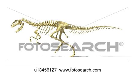 Stock Illustration - Allosaurus dinosaur skeleton, artwork. Fotosearch