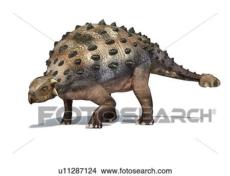 Ankylosaur dinosaur, artwork View Large Illustration Stock Illustration - Ankylosaur dinosaur, artwork. Fotosearch